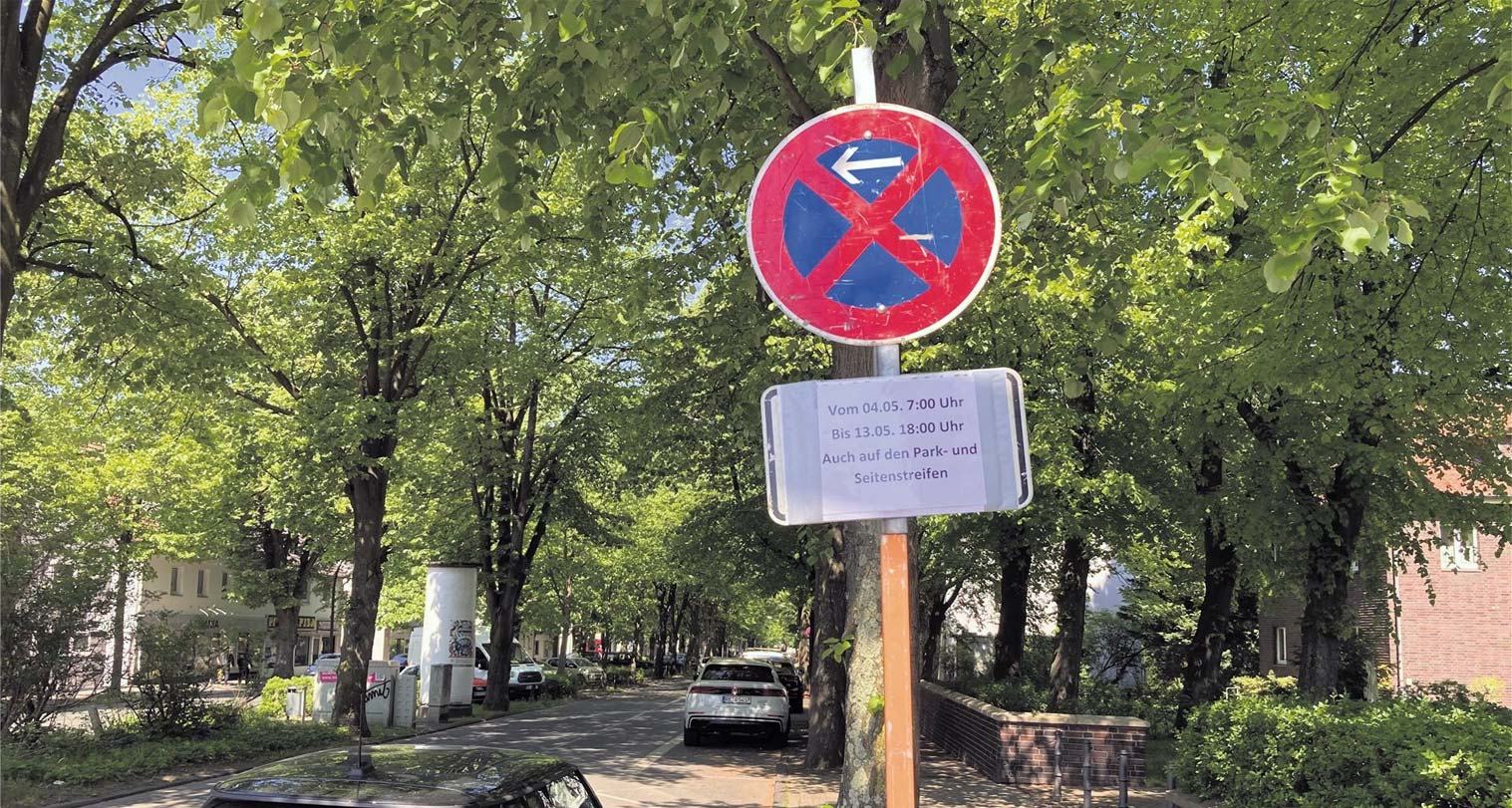 Halteverbotszone für den Umzug in Meerbusch: An einer Straße mit Bäumen auf beiden Seiten steht ein Halteverbotsschild mit Pfeil, darunter ein Zusatzschild mit Datum und Uhrzeit