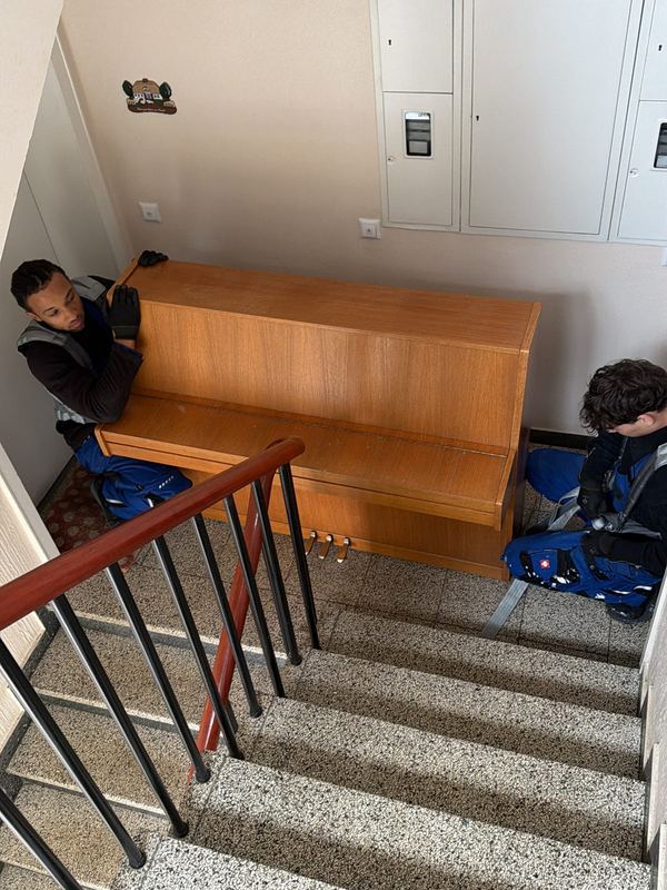 Mit Tragegurten bringen zwei Mitarbeiter ein Klavier eine Treppe hinunter